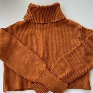 Wild Fable Rust Turtle Neck XS